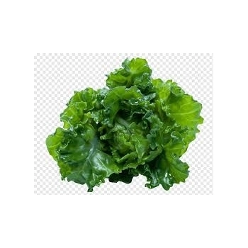 ESCAROLA CONGELADA FATIADA ARRICO CX5X2,5KG