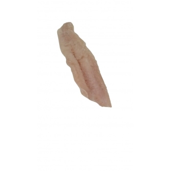 FILE PANGASIUS INTERFOLHADO CONG MINERVA CX10KG