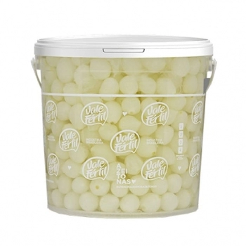 CEBOLINHA EM CONSERVA VALE FERTIL BD 2KG